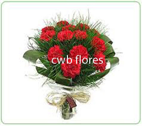 3553 Buquê  uma  duzia de cravos 
