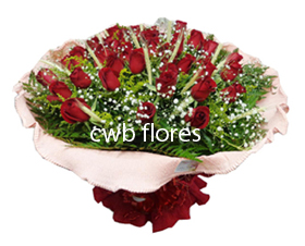 3667 Buquê de 24 rosas vermelhas 