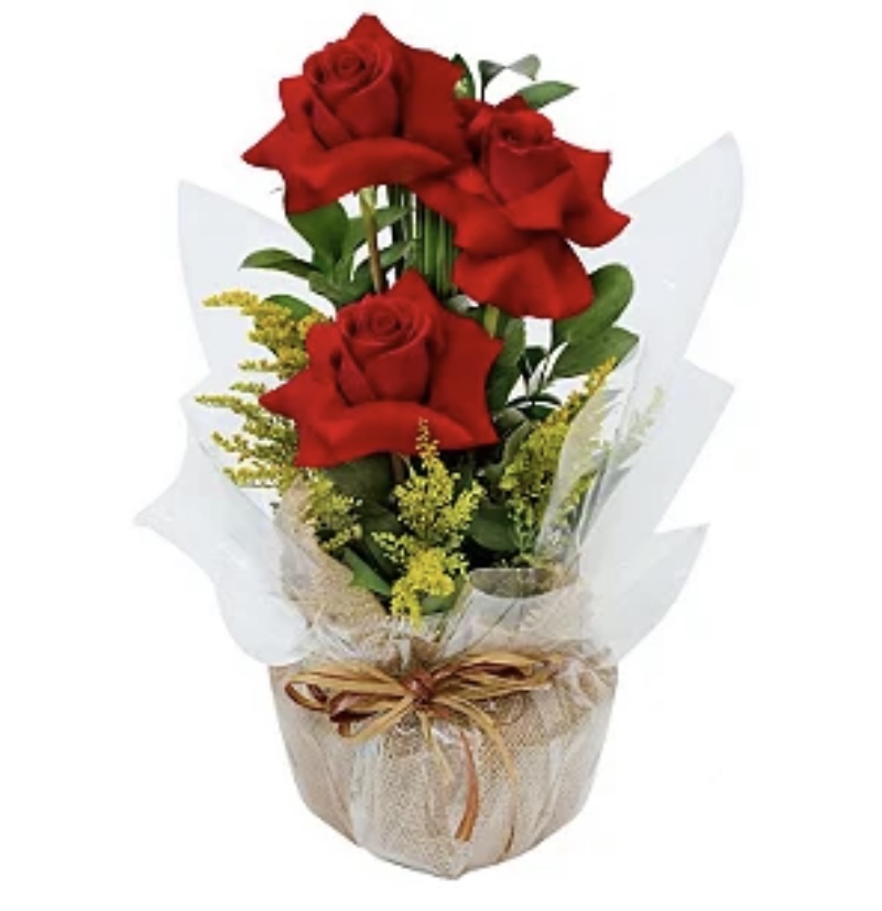6674 Arranjo de rosas vermelhas 