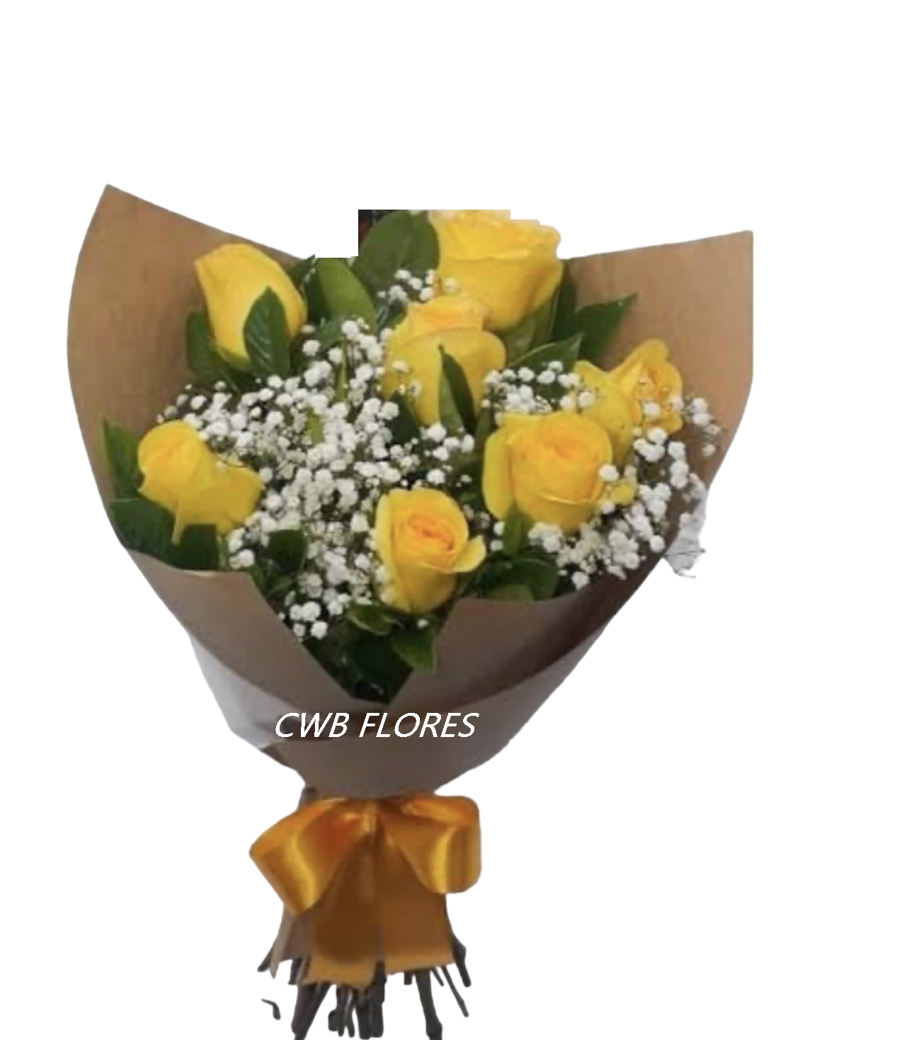 6939 ❣ Dia a Dia com Flores ❣